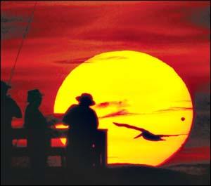 A pelican is in motion Tuesday across the face of the rising sun, along with the planet Venus, as seen from the Flagler Beach Pier in Daytona Beach. JIM TILLER/DAYTONA BEACH NEWS-JOURNAL